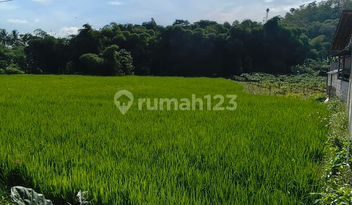 Tanah Produktif di Limbangan Tengah Garut