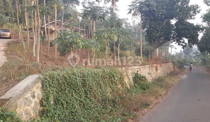 Tanah Pertanian & Perkebunan di Desa Waringin Kurung, Dekat Toll Cilegon Timur, Sertifikat Hak Milik