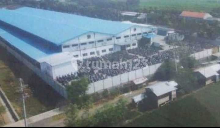 Active Garment Factory Operating in Pemalang - Central Java :