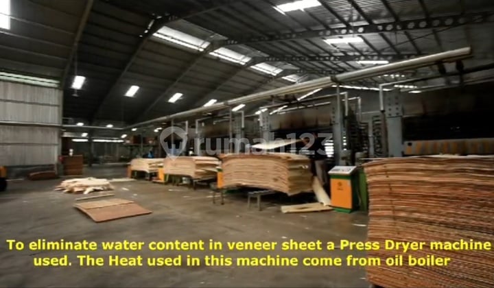 Pabrik Plywood Masih Aktif Di Kab. Temanggung