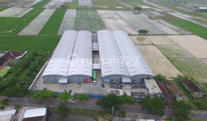 Ex Furniture Factory Good Strong Neat Layout In Sukoharjo Regency - Central Java