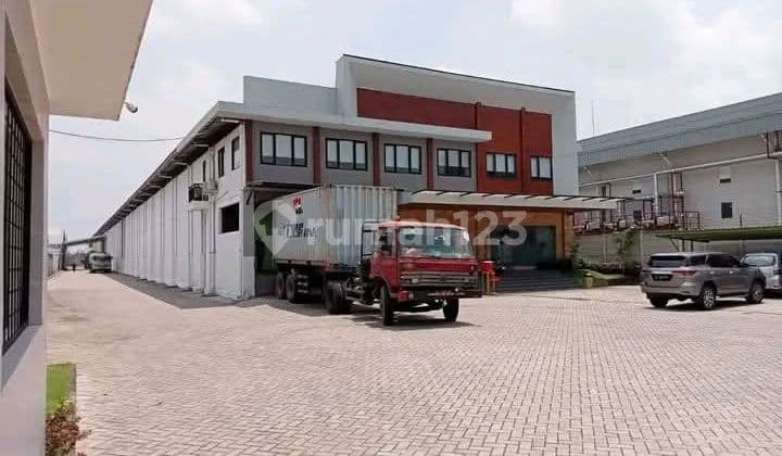 Active Branded Cooking Oil Packaging Factory in Sidoarjo, East Java