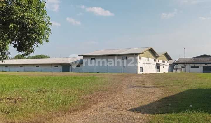 Pabrik Tekstil Produksi Kain Bludru Sajadadi Cirebon Timur