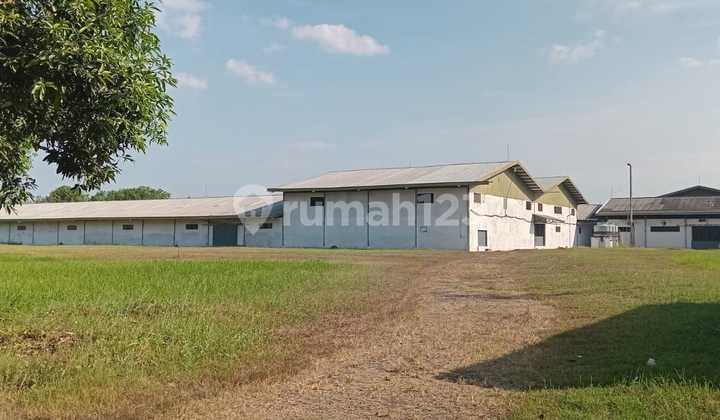 Pabrik Tekstil Produksi Kain Bludru Sajadadi Cirebon Timur