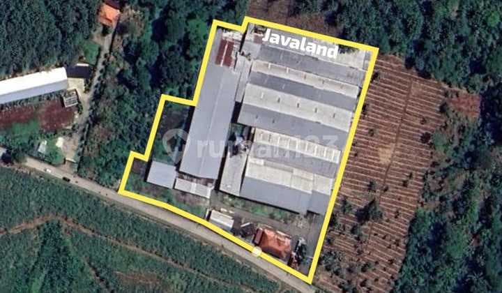 Pabrik Kayu Lengkap Dengan Mesin-mesinnya Di Kab.kendal Jawa Tengah