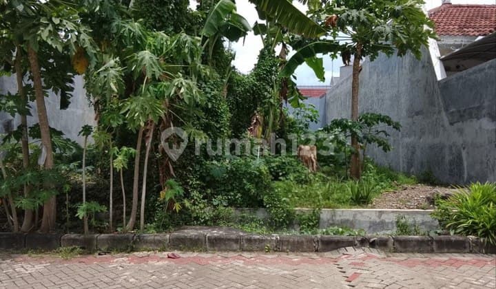 Kavling Mulyosari Prima Strategis, Row 3 Mobil