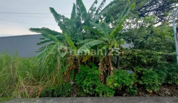 Kavling Kalilom Timur Strategis Kavling Kalilom Timur Strategis