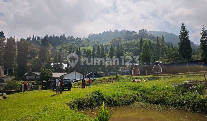 Peak Land Near Cisarua Royal Safari Market And Damar Langit