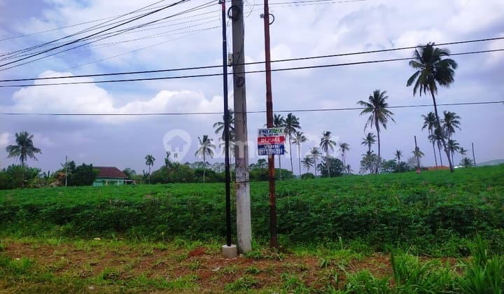 Land for Sale on Jln. Kramat Jaya, Hajimena - Natar, South Lampung