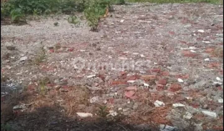 Tanah Kavling Jual Dalam T. HS. Kotak Persegi Langka Kemang Utara.