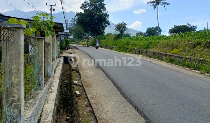Tanah Kebon di Haurgombong Sumedang Tanjungsari