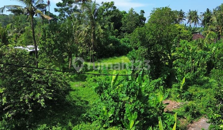 Tanah 1000 untuk Villa Pribadi Lokasi Pantai Kelating