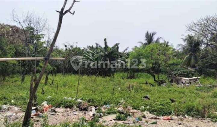 Tanah Pinggir Jalan Kapuk Kamal Raya Penjaringan Jakarta Utara