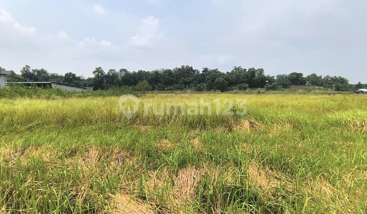 Tanah Industri Kawasan Industri Mm2100 Cibitung
