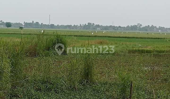Lahan Utk Perumahan Di Babelan Bks