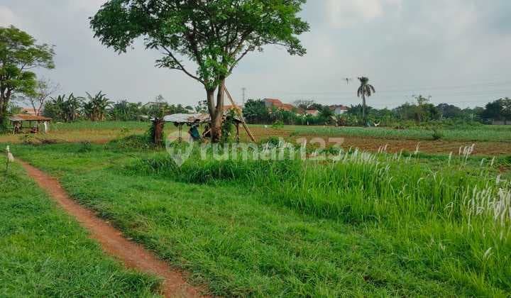 Land in Purwasari Karawang
