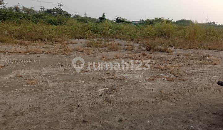 Industrial land for rent in Manyar, Gresik, East Java.