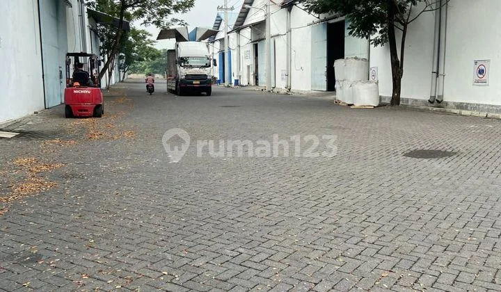 Warehouse for rent in Romokalisari, Surabaya, East Java. Warehouse for rent in Romokalisari, Surabaya, East Java.