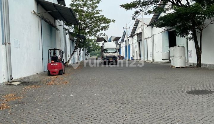 Disewakan gudang di Surabaya barat, Jawa timur Disewakan gudang di Surabaya barat, Jawa timur