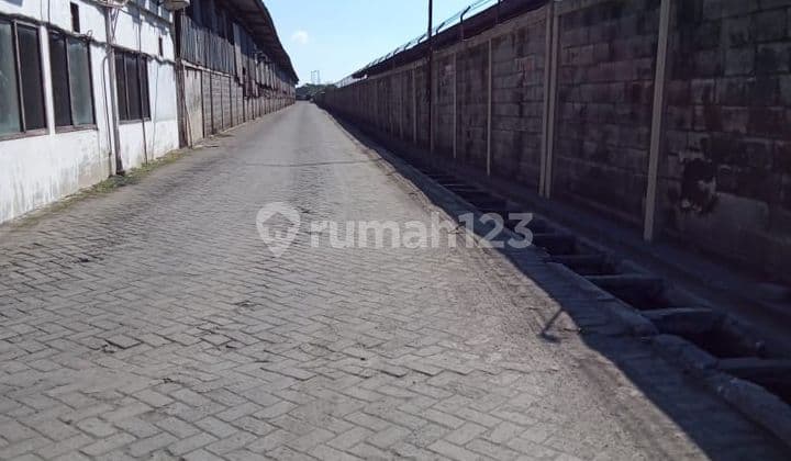 Dijual Cepat Pabrik Di Tambak Langon Surabaya Jawa Timur