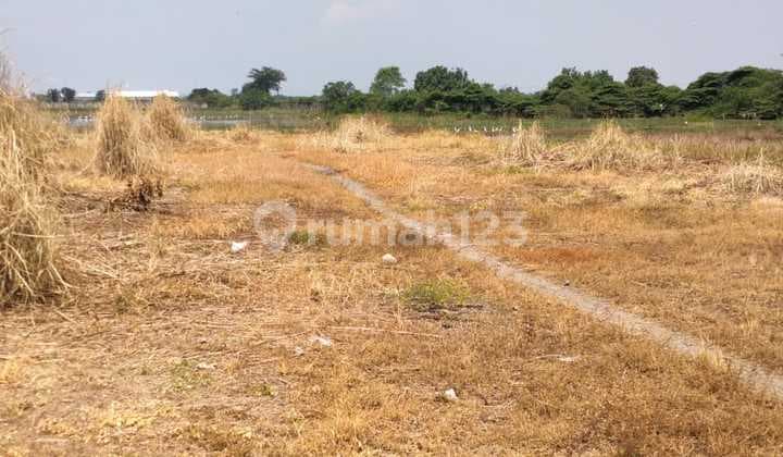 For Rent: Industrial Land on East Ring Road, Sidoarjo, East Java