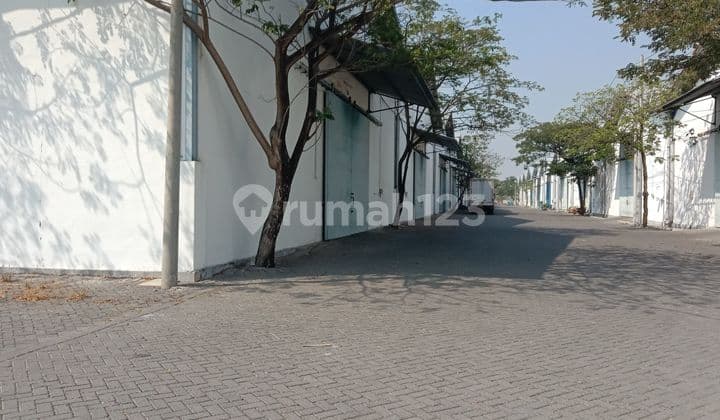 Disewakan Gudang Istimewa Di Surabaya Jawa Timur
