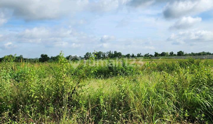 Kavling Cikande 4.184 M2 Cocok Untuk Gudang / Pabrik Tangerang Banten