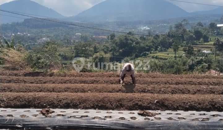 Tanah, SHM, View Gunung,Menuju Ubud di Tabanan Bali