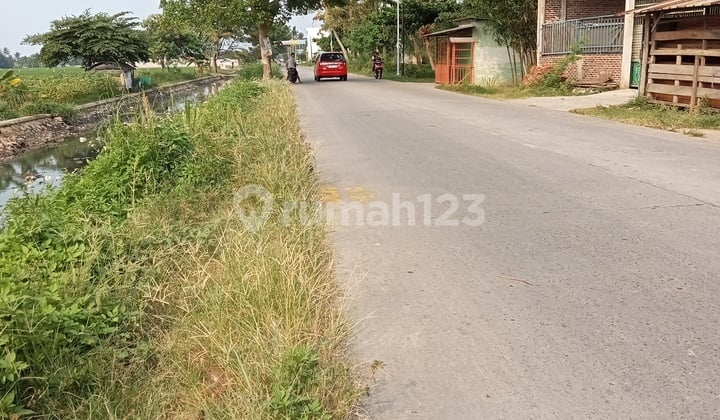 Tanah SHM Zona Kuning di Rajeg tanjakan, Tangerang 2.950 m²