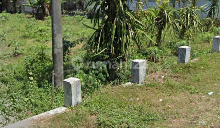 Tanah di Srono, Muncar Banyuwangi SHM 3.000 m²