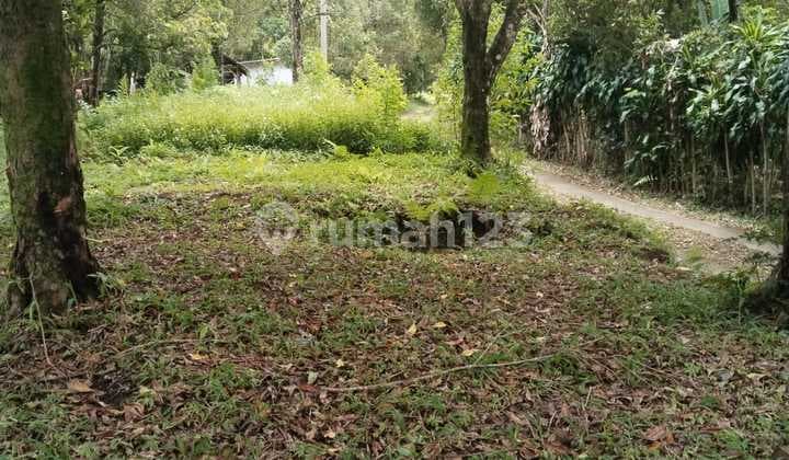 Tanah, SHM, Dekat Tempat Wisata Munduk Buleleng Bali