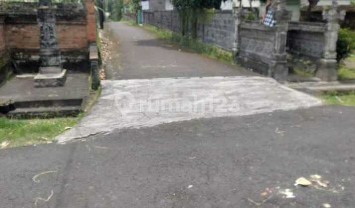 Land in Baha Mengwi Badung Bali SHM 11 Are