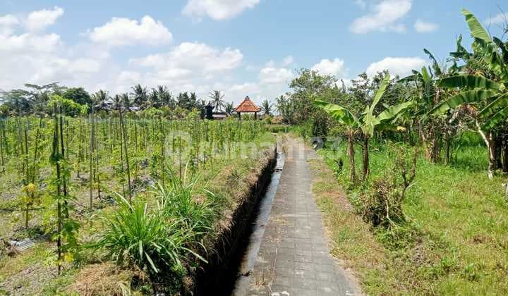 Tanah di Abiansemal Badung SHM 29 Are