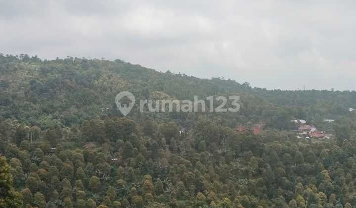 Tanah, SHM, Dekat Tempat Wisata Dingin Munduk Buleleng Bali