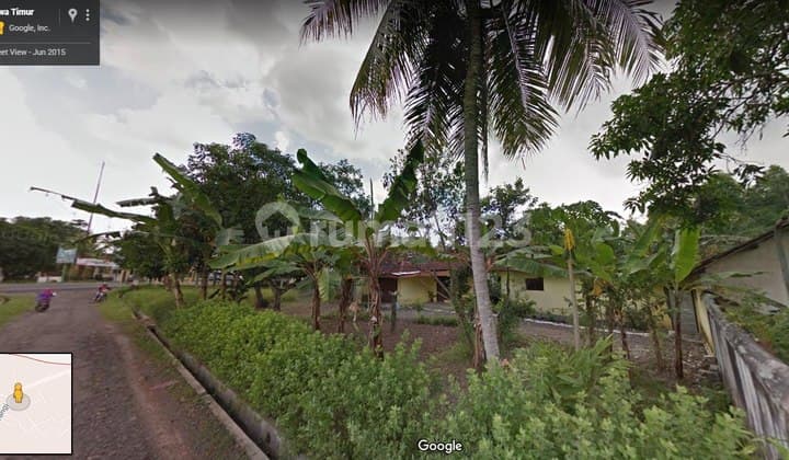 Tanah Bagus Di Cluring Shm 650.0 Bonus Rumah