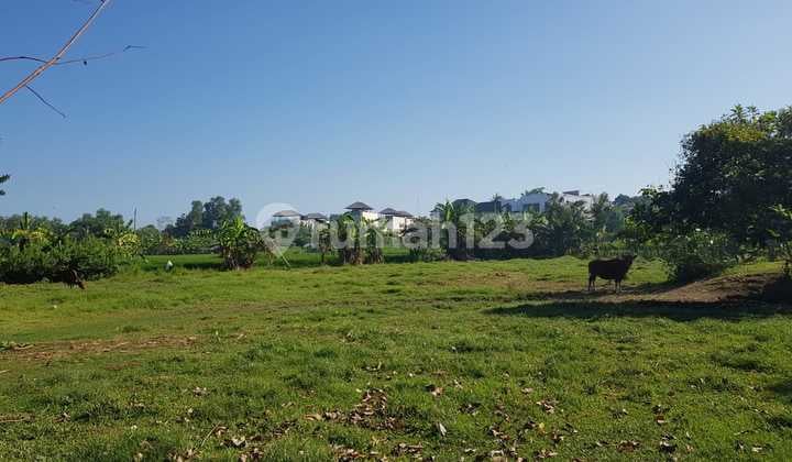 New Land Plot 3 Are Villa Area With Beach and Rice Field View in Ketewel Gianyar Bali
