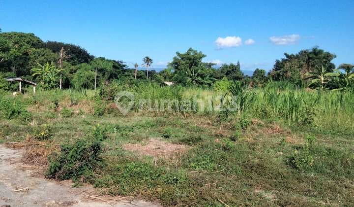 Tanah Kavling View Pantai di Tulikup Gianyar Bali