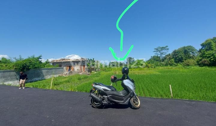 1,5 Are Full View Ocean Dan Sawah di Gianyar Bali