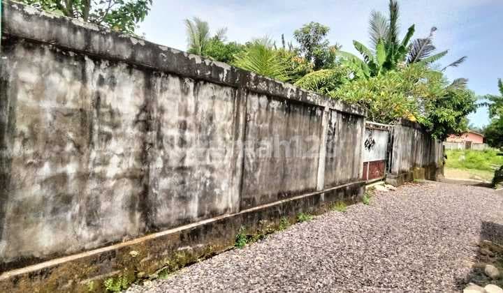 3 Are Dekat Jalan Utama Sudah Isi Air Sumur Bor, Listrik, Pagar Keliling di Pering