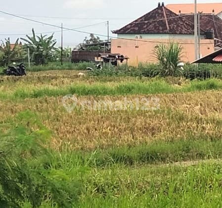 Tanah Sewa View Pantai bisa di Ambil Sesuai Permintaan di Ketewel Gianyar