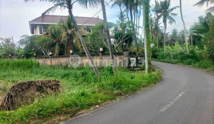 Plot 10 Are Roadside in Pering Gianyar Bali