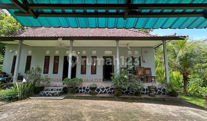 House For Sale - Spacious Yard Near Medewi Beach, Bali