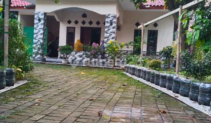 Rumah Bagus Murah Bonus Kontrakan di Pawarengan Cikampek Barat Karawang