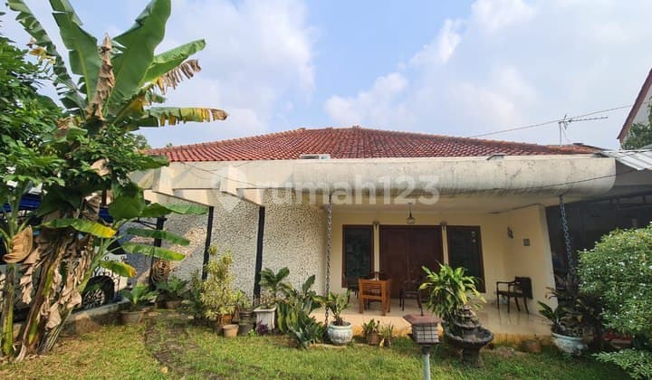 Classic Spacious Green Strategic House in Pejaten Barat, South Jakarta