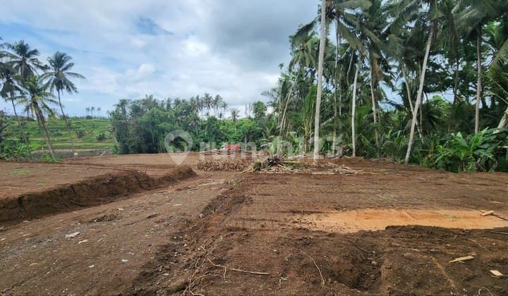 Tanah Kavling Riverside View Sungai & Sawah Hijau Di Saba Gianyar