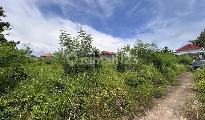 Kavling Siap Bangun, Harga Murah, View Sawah, di Keramas, Gianyar