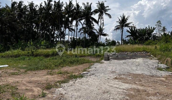 Tanah Kavling View Sawah Dan Sungai, Di Saba, Gianyar Dekat Sanur