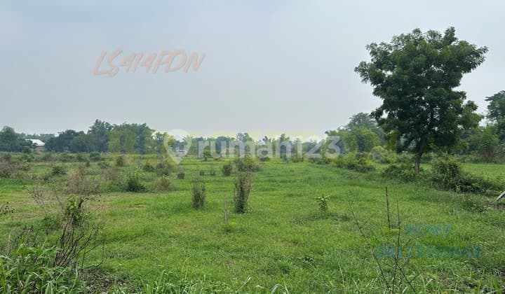 Kavling Murah Pandaan Sukorejo Cocok Buat Peternakan Perkebunan