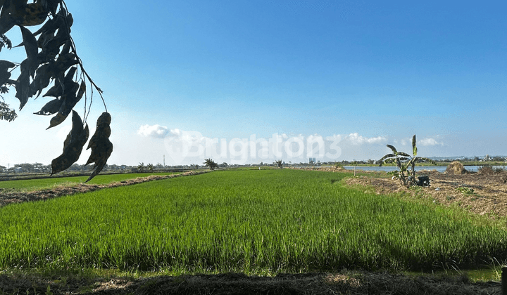 Kavling Cerme Gresik Hanya 640rb An Dekat Gate Tol Cerme