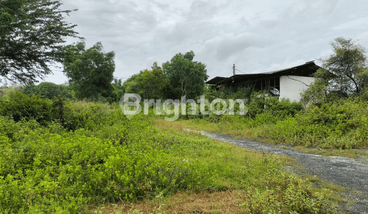 Turun Harga Kavling Nol jalan raya Jenu ex industri, Tuban Jawa Timur